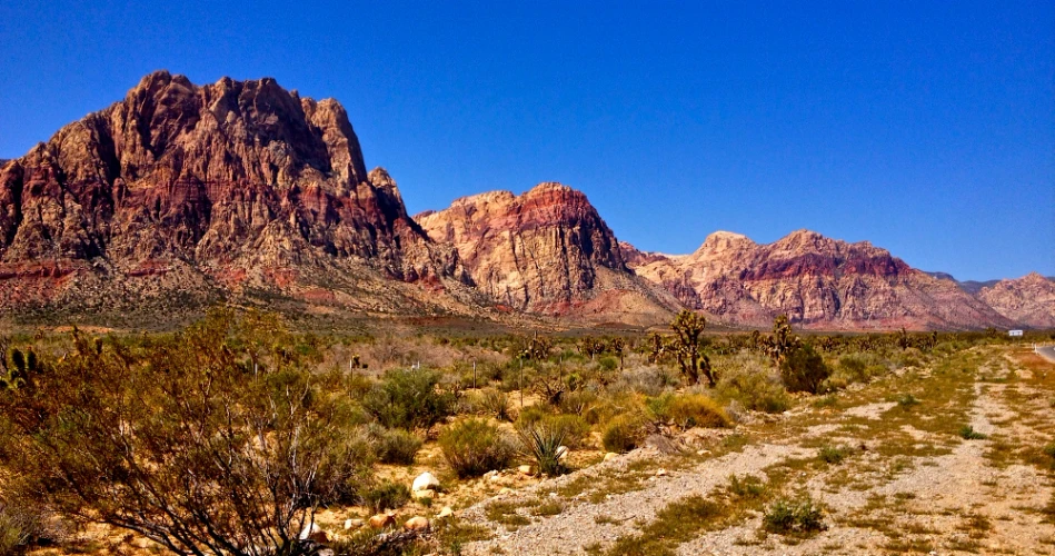 48 Hours in Las Vegas – A Complete Guide