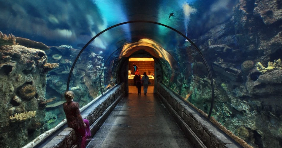 10 Best Kid-Friendly Attractions in Las Vegas