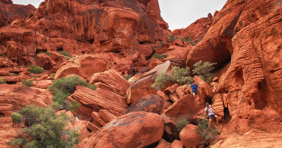 Girls' Trip to Vegas: Ultimate Weekend Guide