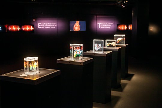 Tour image 6