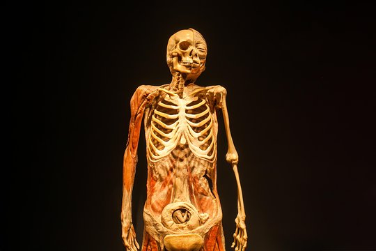 Tour image 12