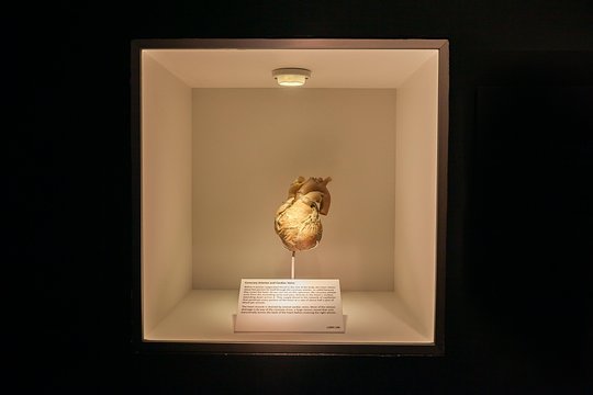 Tour image 13