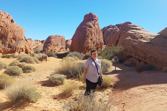 Tour image 8