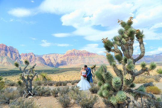 Tour image 3