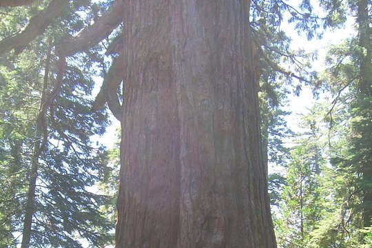 Tour image 5