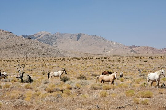 Tour image 10