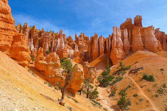 Tour image 5
