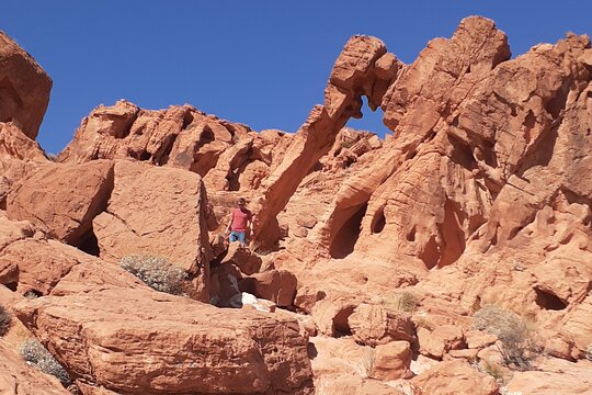 Tour image 5