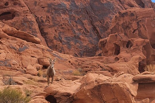 Tour image 11