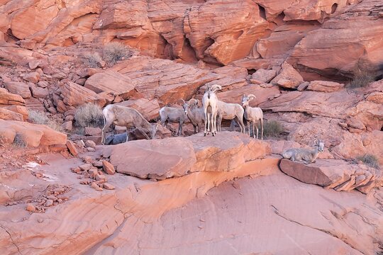 Tour image 13